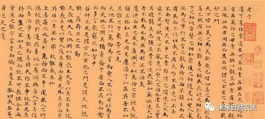 东方心经马报图，古老智慧的现代启示东方心经马报图四十期