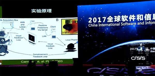 探索3D试机开奖结果的奥秘，揭秘数字背后的世界3D试机开奖结果