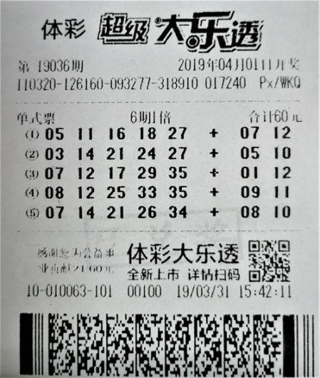 探索中国福利彩票6+1的奇妙世界，揭秘中奖号码背后的故事与影响中国福利彩票6 1中奖号码是什么