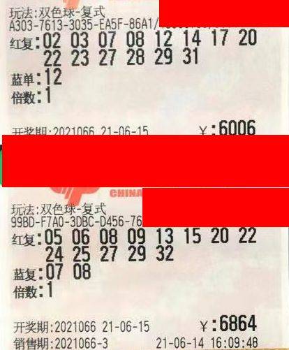 2045年，回顾与展望—以双色球为例的彩票文化变迁2021034期双色球开奖公告