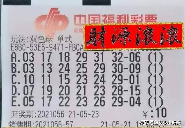 彩摘网双色球字图谜总汇，解锁数字与文字的奇妙世界双色球彩摘牛彩网字谜