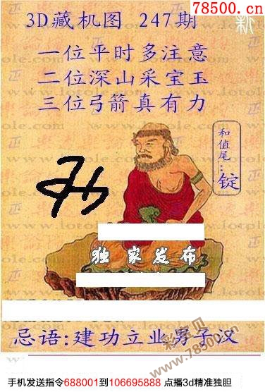 福彩3D今日正版藏机图，揭秘数字背后的幸运密码福采3d今日正版藏机图全部