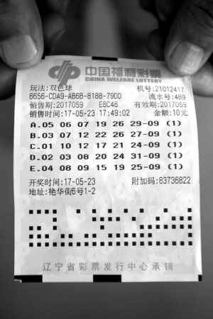 204年双色球第19期，揭秘开奖号码，探寻幸运轨迹双色球2024079开奖号码结果查询今天最新