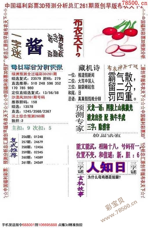 彩摘网布衣天下，图谜背后的文化与智慧彩摘网布衣天下双胆图