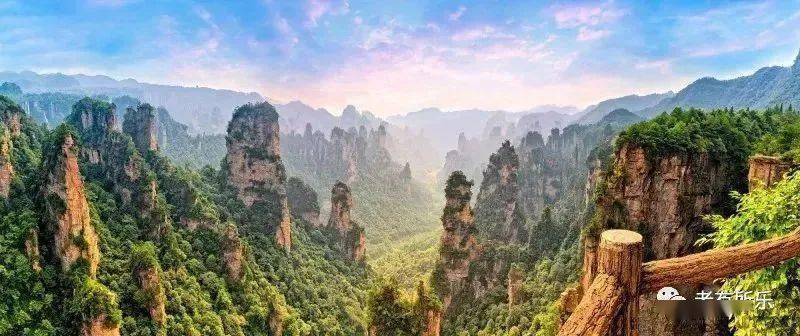 探索大连红五的数字世界，从下载到体验之旅大连红五下载安装
