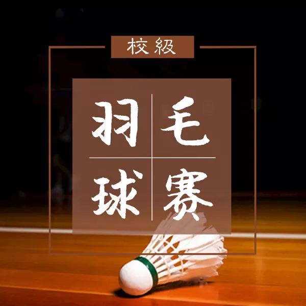 优酷体育，羽毛球直播的精彩舞台优酷体育羽毛球直播在线观看