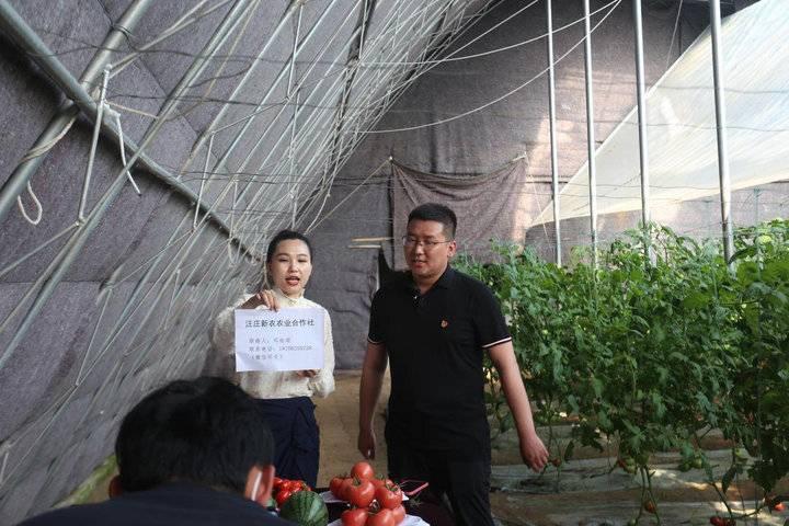 足球直播，90vs的激情碰撞与策略较量足球直播90vs手机版