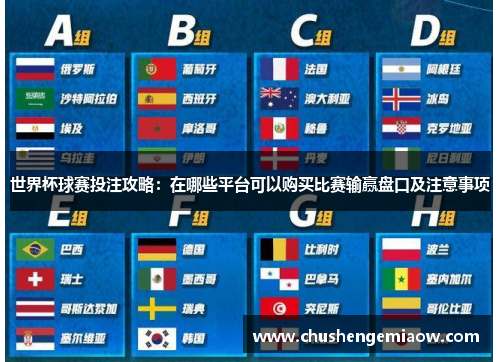 世界杯彩票购买指南，合法渠道与注意事项世界杯彩票在哪里可以买呢百度
