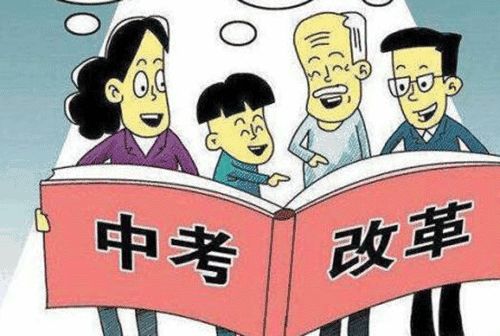 澳门跑狗3769，揭秘第154期与数字的奇妙缘分