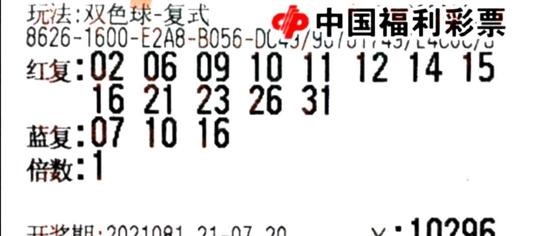 49853开奖结果，揭秘数字背后的幸运与期待49853开奖结果历史查询