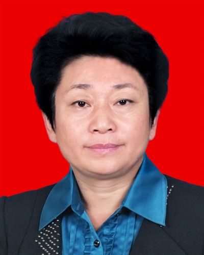 现任中央委员名单，中国政治领导核心的坚实力量河南现任中央委员名单